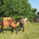 piknik15 (40)